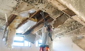 Best Asbestos and Lead Testing During Mold Inspection  in Camden, OH